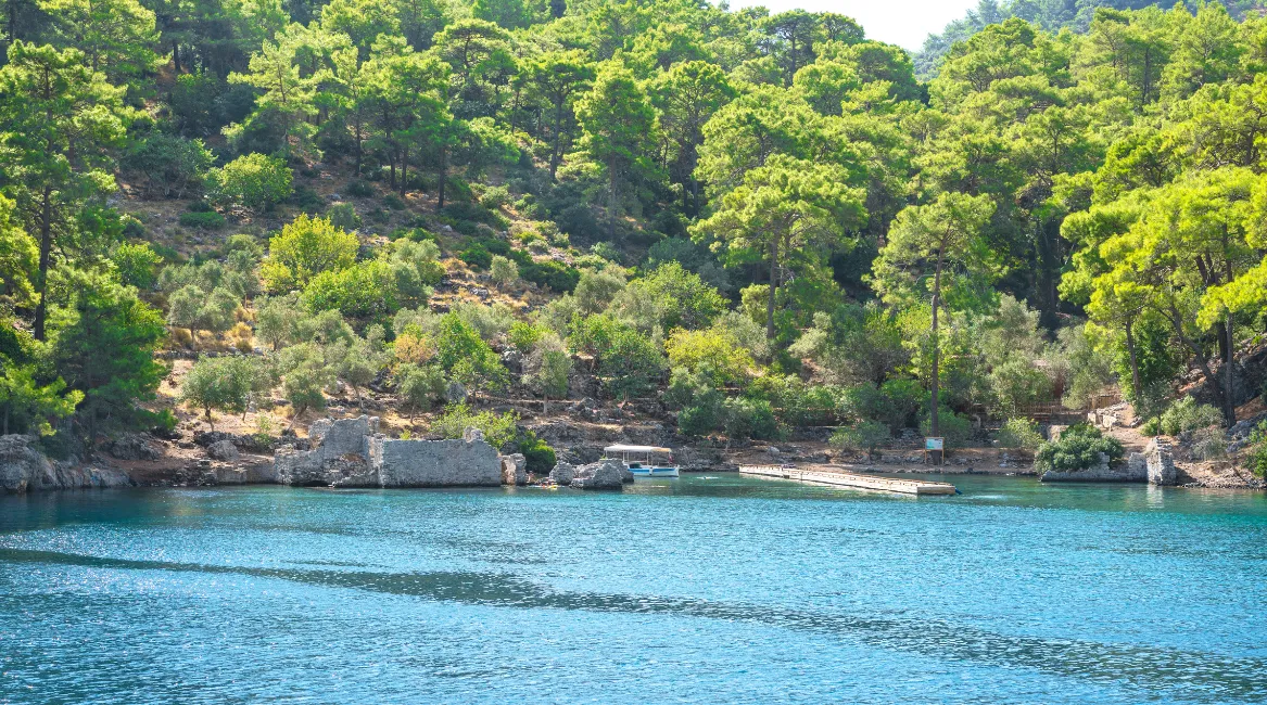 dalaman vip transfer