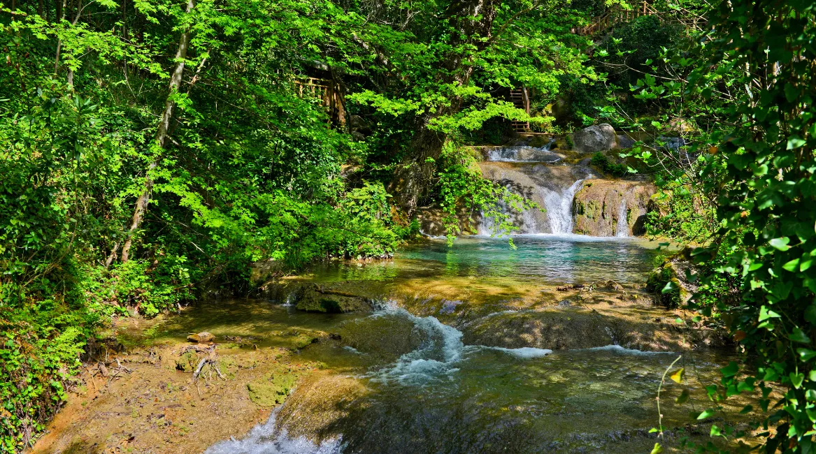 dalaman vip transfer