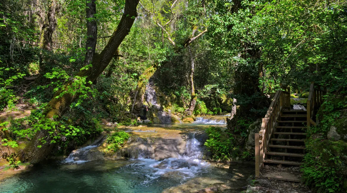 dalaman vip transfer