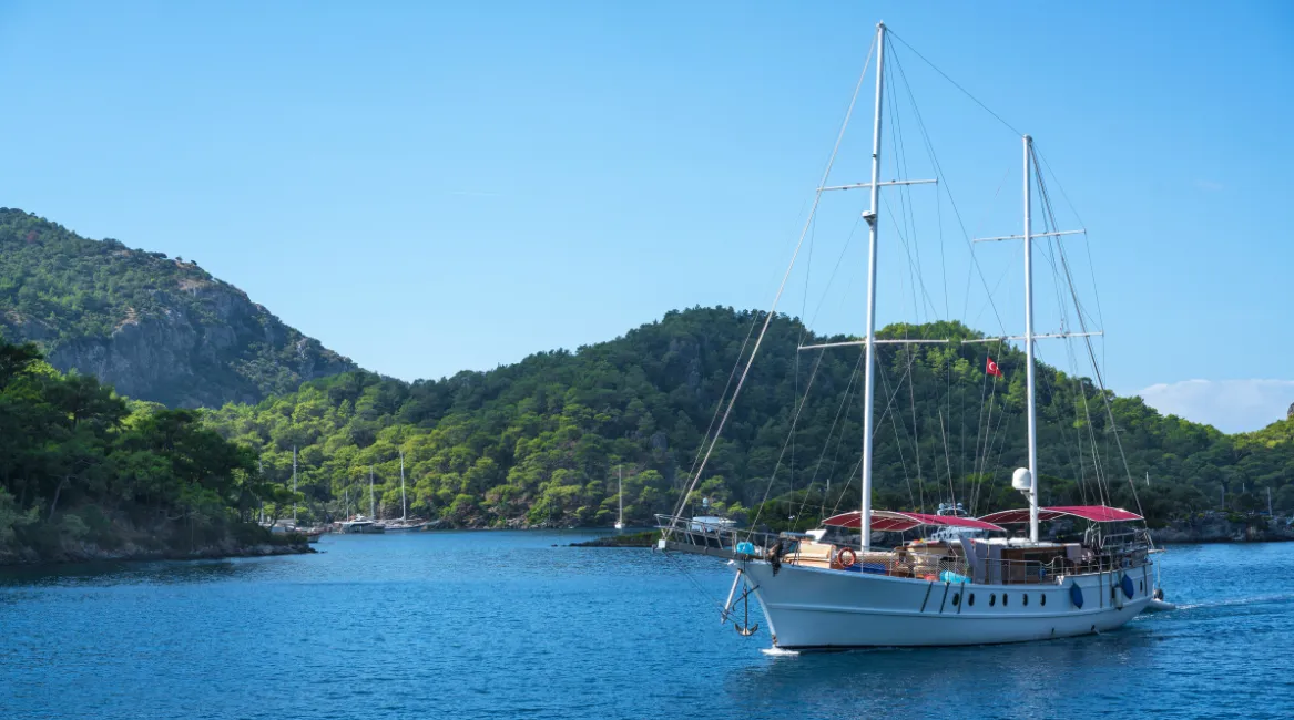 dalaman vip transfer