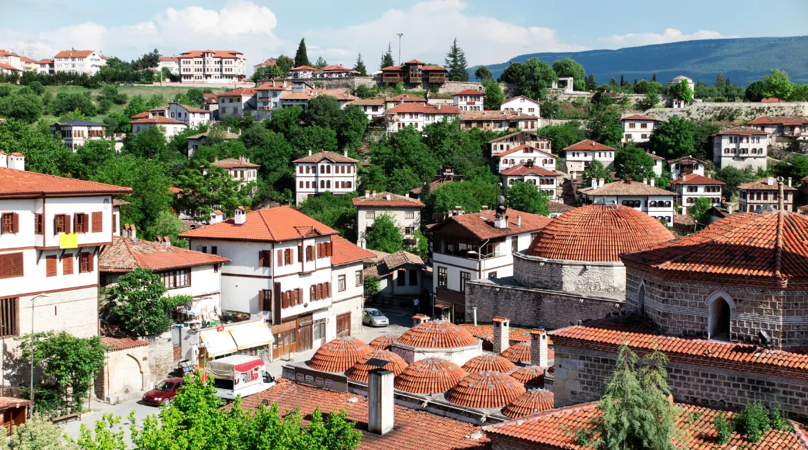 dalaman vip transfer