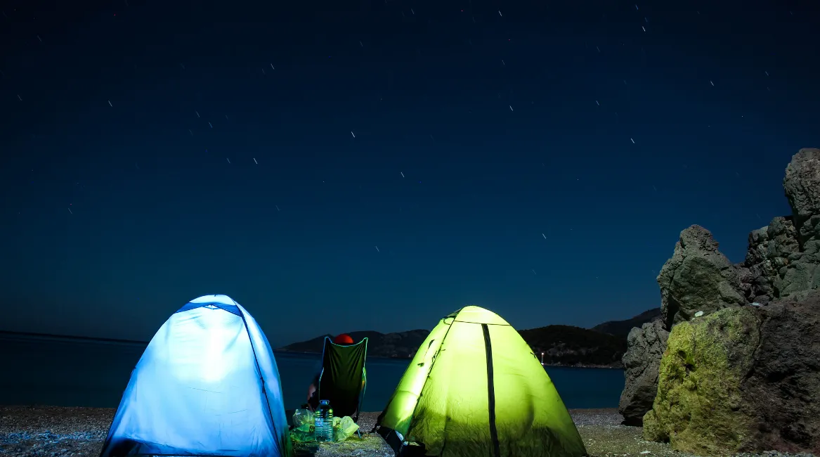 dalaman vip transfer